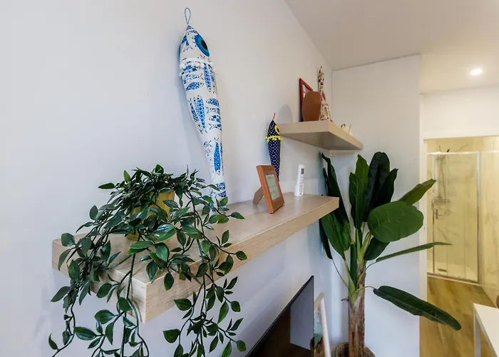 Guest H4u - Bonfim Heroismo